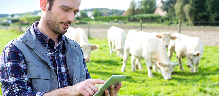 Tributação do produtor rural: pessoa física e jurídica